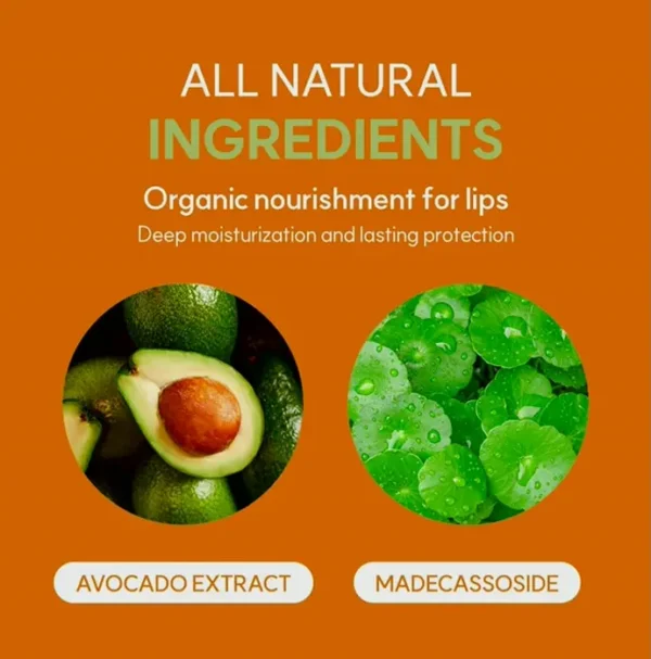 Frudia Avocado Cica Organic Lip Balm | Hydrating