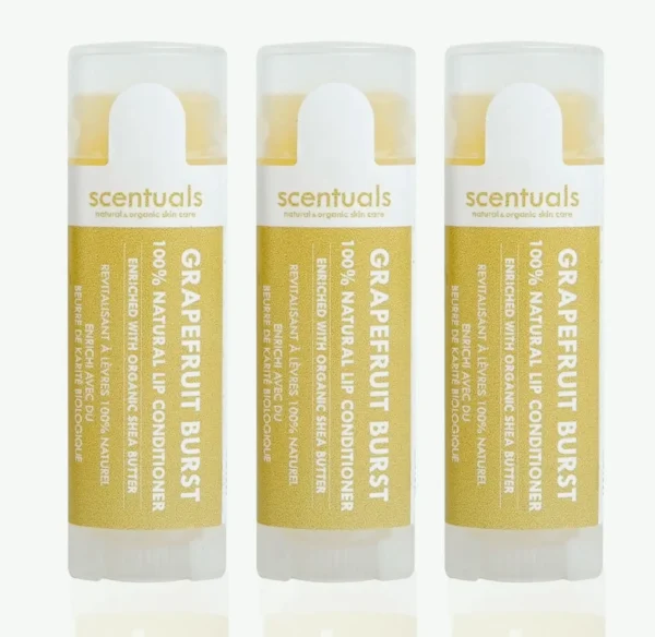 Lip Balm Set of 3 - Shea Butter Enriched
